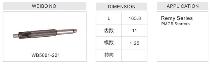 WB5001-221