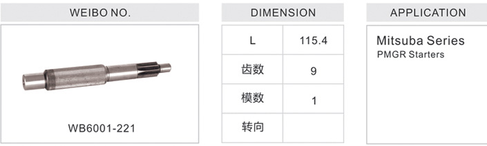 WB6001-221